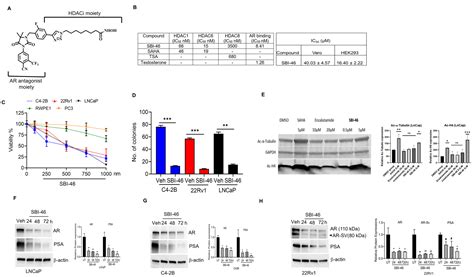 Cancers Free Full Text Antiandrogen Equipped Histone Deacetylase