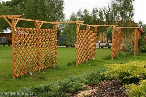 Pergola Treja Krata Konstrukcje Do Podtrzymania Pn Czy Garden