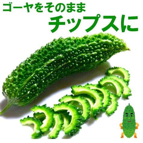 ゴーヤチップ 人気サイズ 150g ゴーヤそのままスライス野菜チップ 苦いが美味しいうす塩味 メール便発送 Kt300 Goya金山とまと