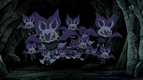 Noibat Xy033 Pokémon Wiki Fandom