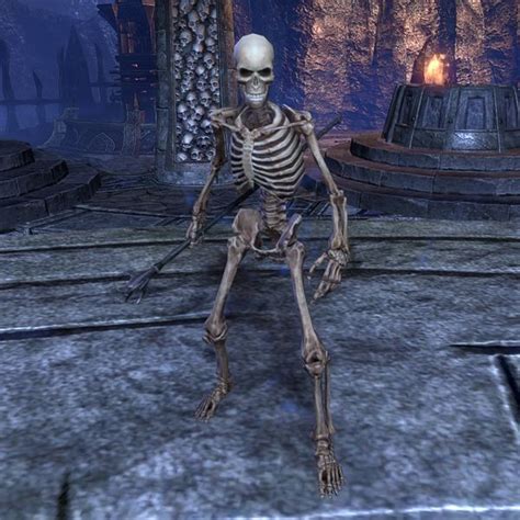 Online Skeletal Pyromancer The Unofficial Elder Scrolls Pages Uesp