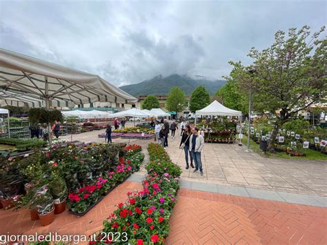 Il Tempo Per Il Ponte Del 1 Maggio Giornale Di Barga