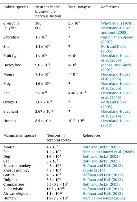 Table From Molecular Regulation Of Dendritic Spine Dynamics And Their