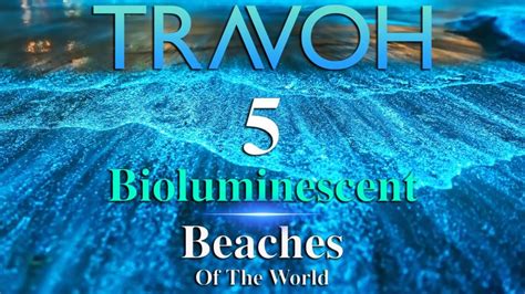 5 Bioluminescent Beaches Of The World – TRAVOH