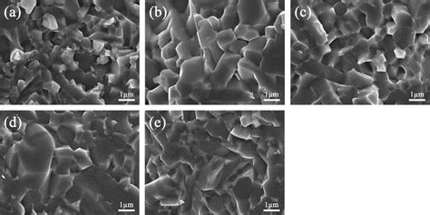 Fracture Surfaces Of The Prepared Yb Lu Co Doped Sialon Samples A