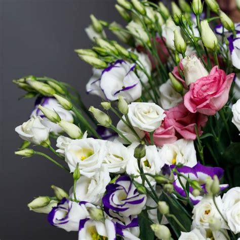 Букет из 25 лизиантусов микс купить в Санкт-Петербурге | Интернет ...