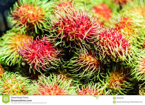 Rambutan Stock Photo Image Of Sweet Fresh Summer Delicious 99282032