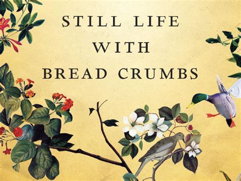 Book Review Still Life With Bread Crumbs Anna Quindlen