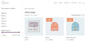 How To Create Filtered Sidebars For Your Divi WooCommerce Pages
