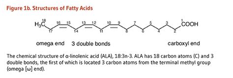 Essential Fatty Acids Linus Pauling Institute Oregon State University