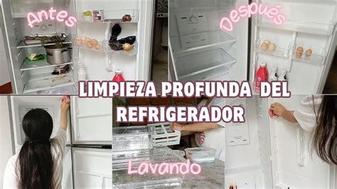 Limpieza Extrema Del Refrigerador Mi Primer Video Joven Embarazada