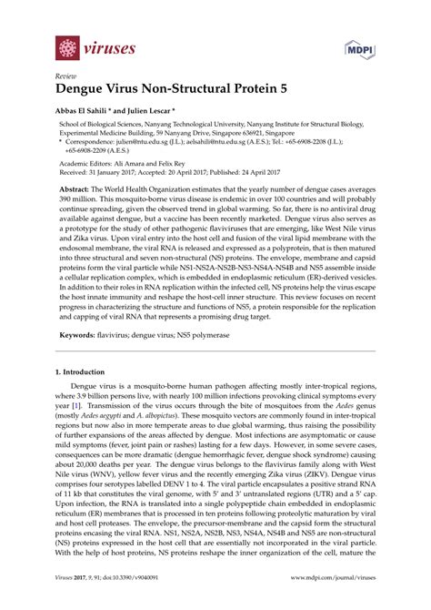 PDF Dengue Virus Non Structural Protein 5