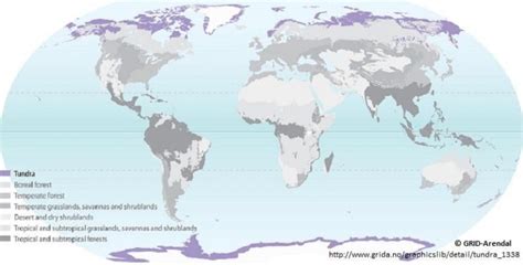 map-of-the-tundra.jpg - Map Pictures