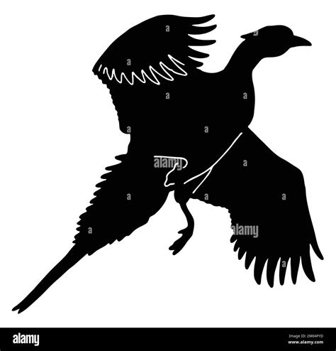 Ilustraci N Del Logotipo De Vector De Aves Voladoras O Pato Real Imagen