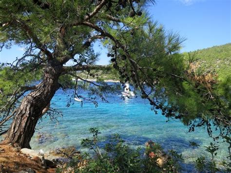 Bodrum Avio Ili Dana Avion Turska Letovanje Argustours