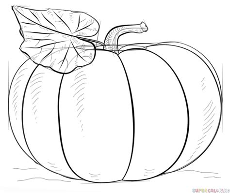 How To Draw A Pumpkin Step By Step Drawing Tutorials