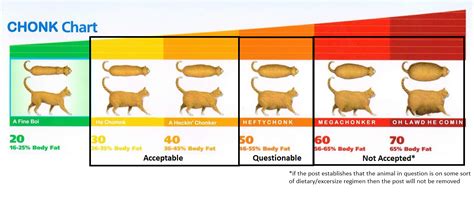 Cat Weight Chart Printable