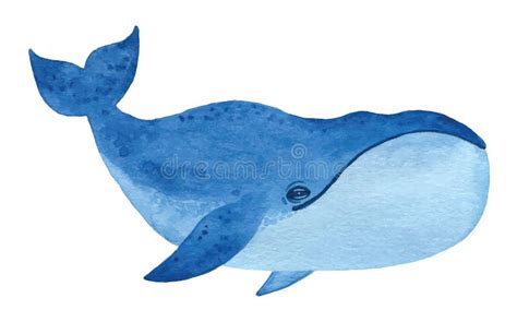 Bowhead whale stock vector. Illustration of blue, splash - 54693797