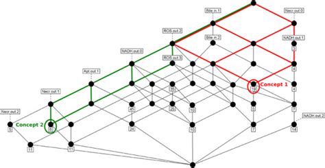 Part Of The Concept Hierarchy Of The Combined Transition Context K