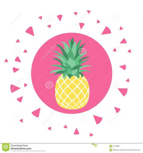 Tropical Fruit Pineapple Stock Vector Illustration Of Nature 91123887