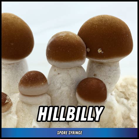 Hillbilly Mushroom Strain Spore Syringe Eden Shrooms