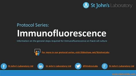 Immunofluorescence (IF) Protocol