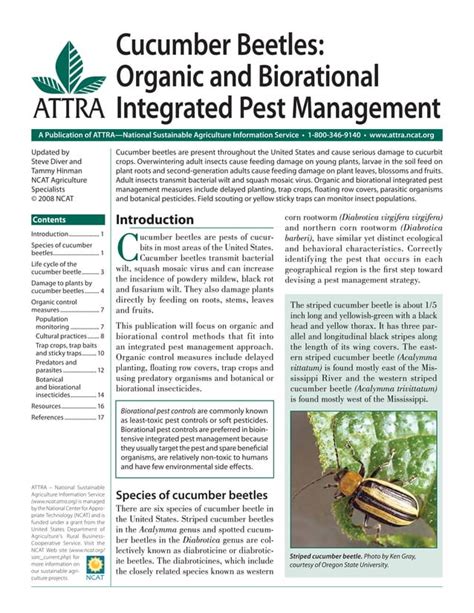 Cucumber Beetles Organic And Biorational Integrated Pest Management Pdf