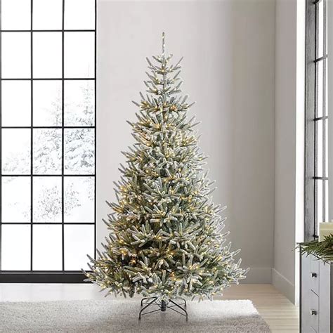 Members Mark 75 750 Led Pre Lit Snowy Georgia Fir Christmas Tree Sams Club