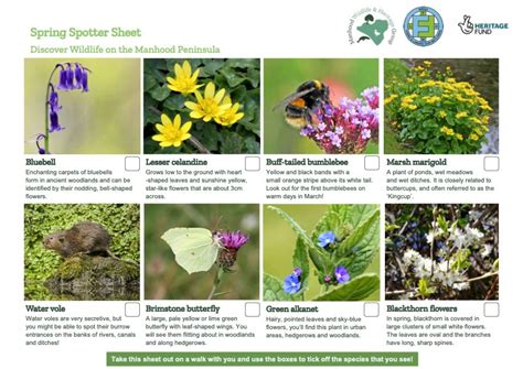 Wildlife Spotter Sheets Manhood Wildlife And Heritage Group