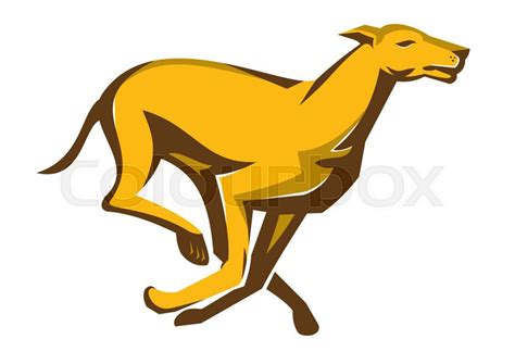 Vector Illustration Of A Greyhound Dog Stock Vector Colourbox