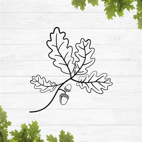 Oak Leaf Svg Acorn Svg Etsy