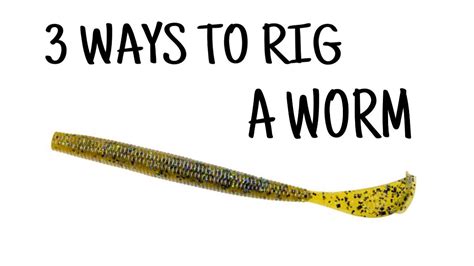 3 Ways To Rig A Worm For Summer Lucky Tackle Box