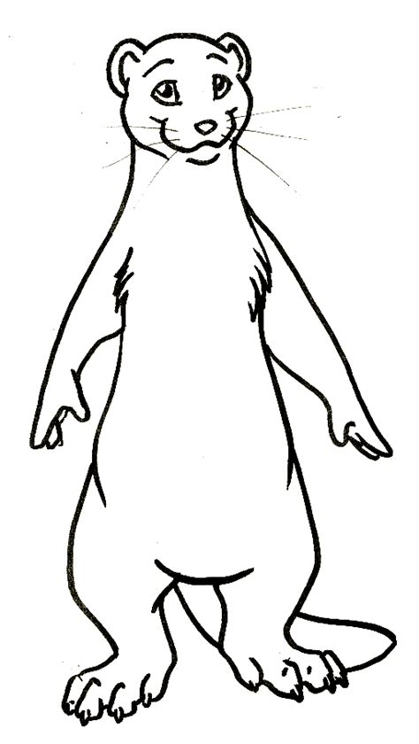 Ermine Coloring Page Animals Town Animals Color Sheet Ermine Free