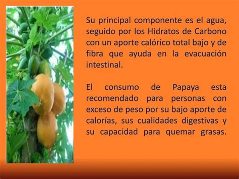 La Papaya Y Sus Propiedades PPT