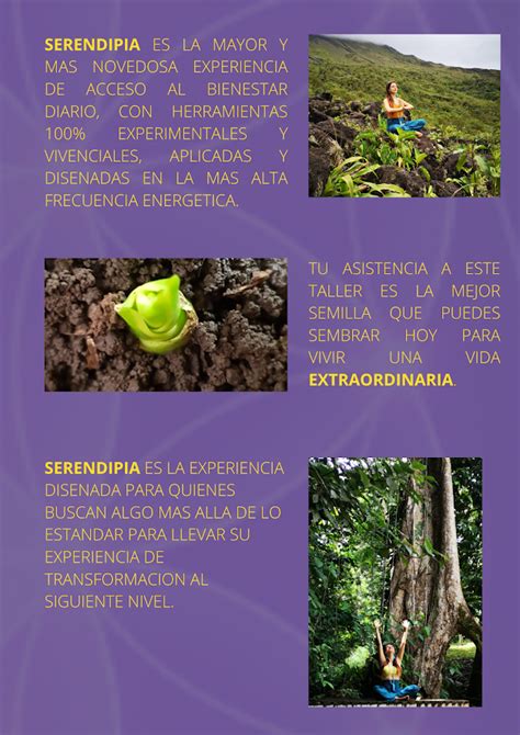 Informacion Taller Presencial Vivencial Serendipity Arenal Fortuna