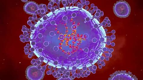 Understanding Human Metapneumovirus