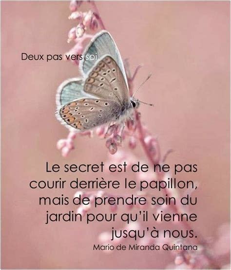 Le secret est de ne pas courir derrière le papillon Karma