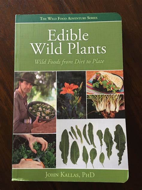 FORAGING Wild Edible Plants The Learning Begins Kind Of