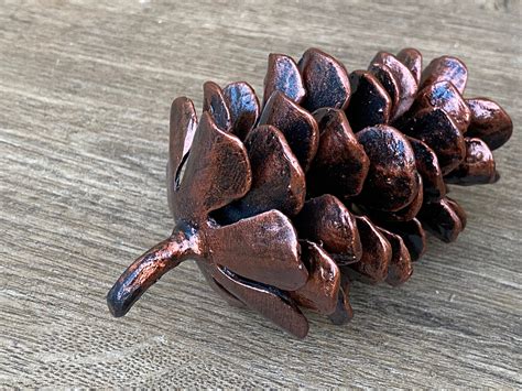 Metal Pinecone Hand Forged Pinecone Metal Pine Cone Iron Etsy Canada