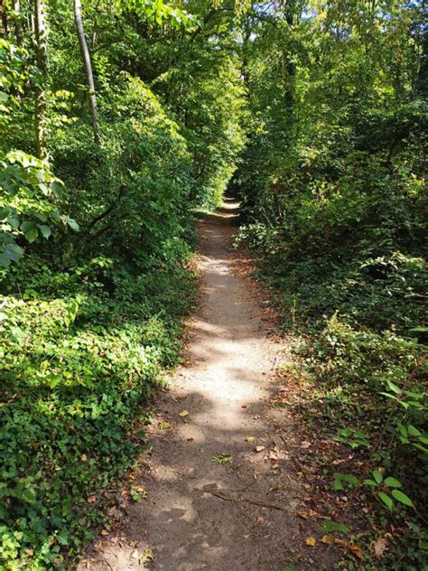 Sentier De La Biodiversit Destination Parc Naturel R Gional Oise