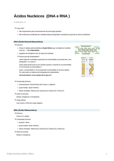 Solution Ácidos Nucleicos Dna E Rna Studypool