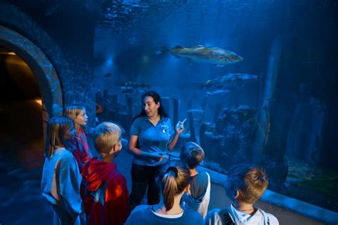 Stiftelsen Skansen och Baltic Sea Science Center förnyar samarbetet med