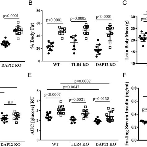 High‐fat Diet Induces Obesity In Aged Female Mice Independent Of Tlr4