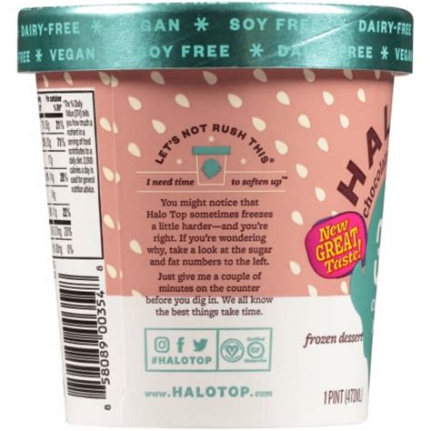 Halo Top Dairy Free Chocolate Almond Crunch Frozen Dessert Pint