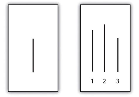 Asch Conformity Experiments