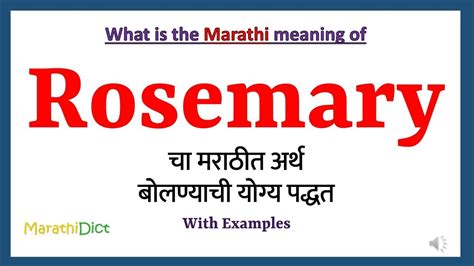 Rosemary Meaning In Marathi Rosemary म्हणजे काय Rosemary In Marathi