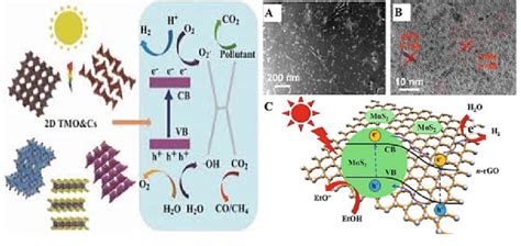 6 Photocatalytic Mechanism Pathway Of 2D TMDs And TMOs Adapted With