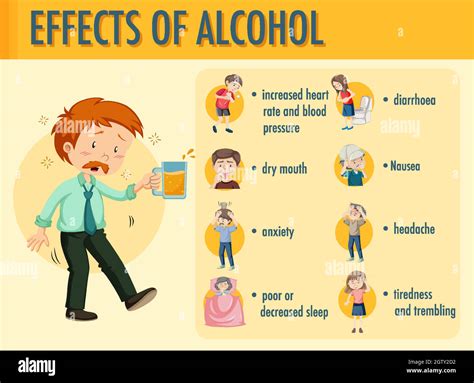 Efectos De La Infograf A De Informaci N Sobre El Alcohol Imagen Vector