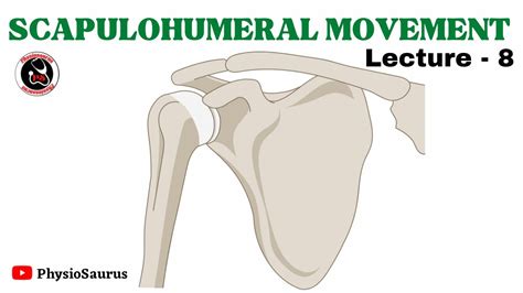 Scapulo Humeral Rhythm Basic Concept YouTube