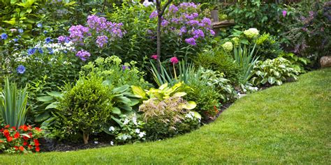 5 Tips for a Beautiful Garden | Beautiful Boundaries